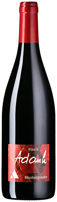 Blauburgunder (Pinot Noir)